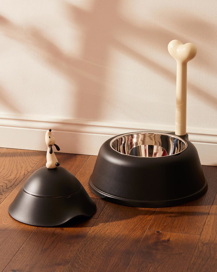 Alessi Image
