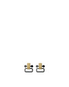 Edone Default Title Two earrings Alessi