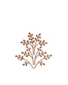The Five Seasons Default Title Fragrance diffuser leaves. Brrr Alessi